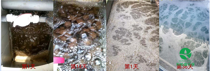 7790ط(й)޹˾-BinGٿ