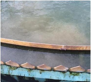 7790ط(й)޹˾-BinGٿ