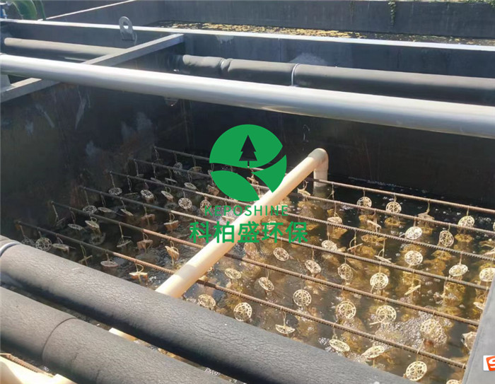 7790ط(й)޹˾-BinGٿ