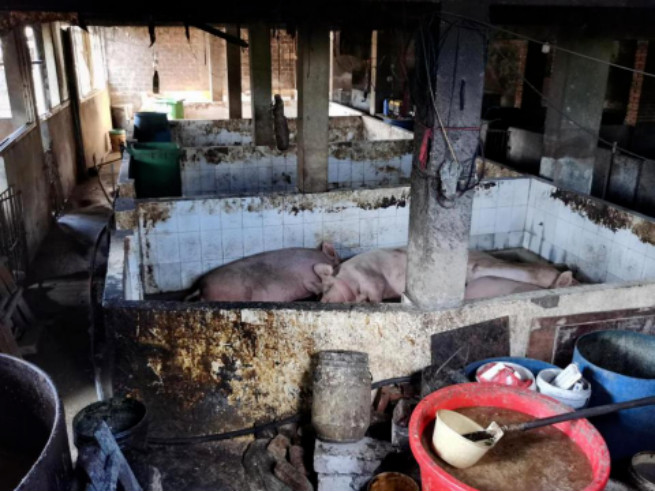 7790ط(й)޹˾-BinGٿ