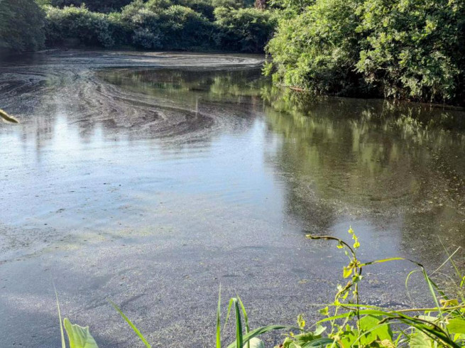 7790ط(й)޹˾-BinGٿ