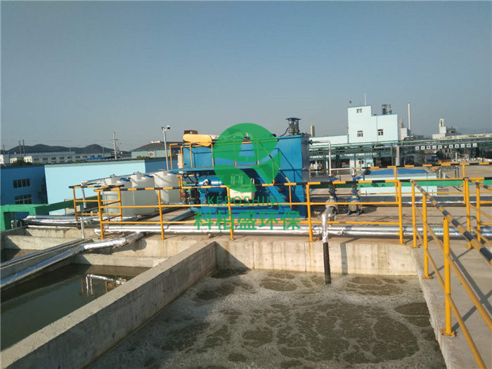 7790ط(й)޹˾-BinGٿ